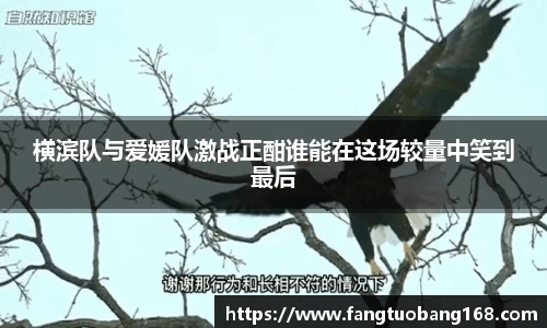 JN江南体育平台